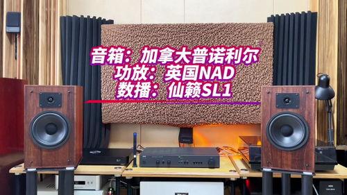 今日头条的音响,引领智能生活新潮流
