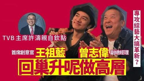 tvb培养明星,培育华语影视界璀璨星辰的摇篮
