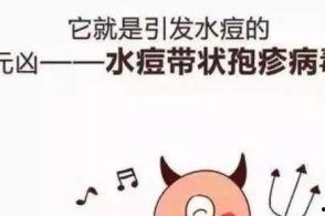 卢勇舟头条号,揭秘成功人士的智慧与成长之路