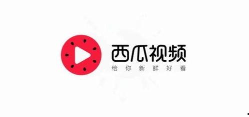 玉林今日头条喝酒视频,网友直呼“太带劲”！