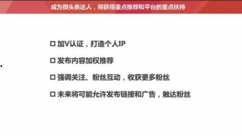 头条发文章的视频尺寸,头条文章视频尺寸背后的优化秘诀
