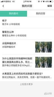 苹果怎么用头条写文章的,如何利用今日头条轻松上手