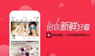 如何拍头条西瓜视频,打造爆款短视频！