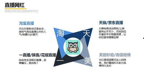 营销网红有谁,引领潮流的数字影响力者