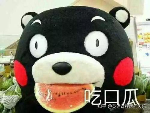 描写吃瓜群众的句子,吃瓜群众的独特描绘