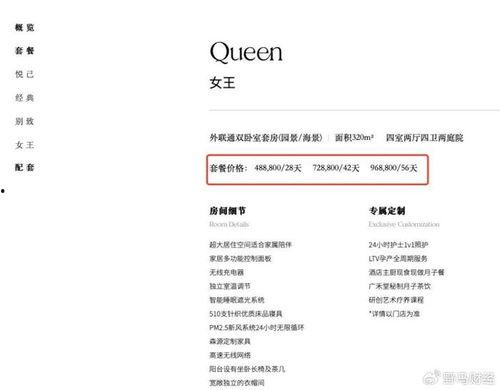 圣贝拉明星,闪耀舞台的璀璨之星
