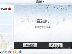 yy明星资格,星光熠熠背后的选拔标准与成长之路